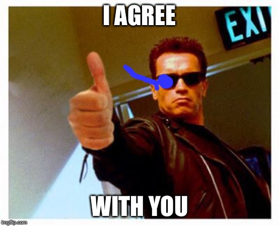 terminator thumbs up | I AGREE WITH YOU | image tagged in terminator thumbs up | made w/ Imgflip meme maker