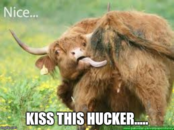 KISS THIS HUCKER..... | made w/ Imgflip meme maker