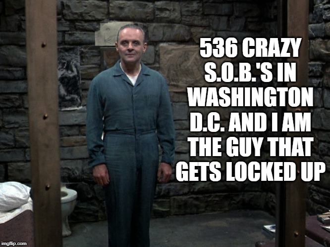 lecter on crazy | 536 CRAZY S.O.B.'S IN WASHINGTON D.C. AND I AM THE GUY THAT GETS LOCKED UP | image tagged in hannibal lecter,crazy,washington dc | made w/ Imgflip meme maker