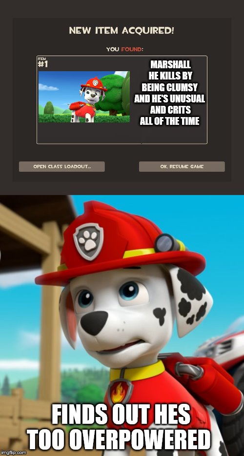 you found the worst paw patrol character | MARSHALL HE KILLS BY BEING CLUMSY  AND HE'S UNUSUAL 
AND CRITS ALL OF THE TIME; FINDS OUT HES TOO OVERPOWERED | image tagged in you got tf2 shit,marshall | made w/ Imgflip meme maker