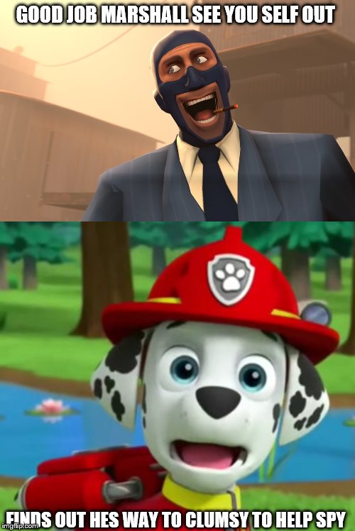 Team pup fortress 2 | GOOD JOB MARSHALL SEE YOU SELF OUT; FINDS OUT HES WAY TO CLUMSY TO HELP SPY | image tagged in success spy tf2 | made w/ Imgflip meme maker