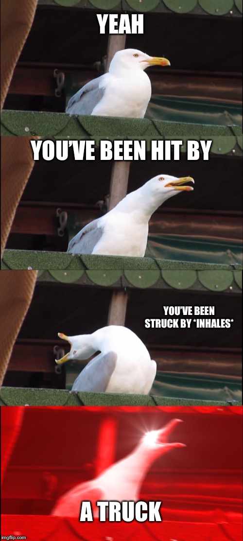 Inhaling Seagull Meme | YEAH; YOU’VE BEEN HIT BY; YOU’VE BEEN STRUCK BY *INHALES*; A TRUCK | image tagged in memes,inhaling seagull | made w/ Imgflip meme maker