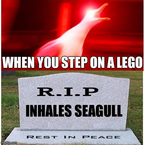 Death by lego | WHEN YOU STEP ON A LEGO; INHALES SEAGULL | image tagged in inhaling seagull,rip,lego | made w/ Imgflip meme maker
