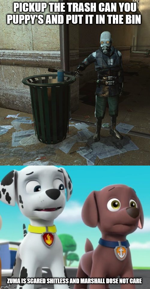 Half Pup life 2 | PICKUP THE TRASH CAN YOU PUPPY'S AND PUT IT IN THE BIN; ZUMA IS SCARED SHITLESS AND MARSHALL DOSE NOT CARE | image tagged in half life 2 pick up that can | made w/ Imgflip meme maker