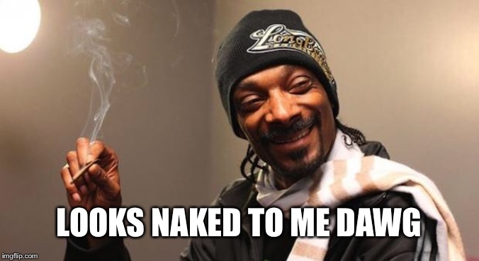 Snoop Dogg | LOOKS NAKED TO ME DAWG | image tagged in snoop dogg | made w/ Imgflip meme maker