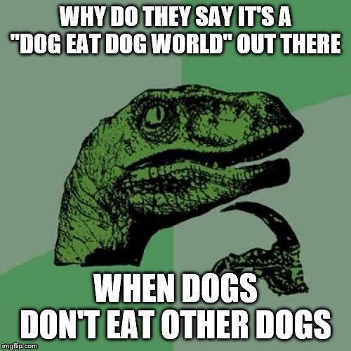 Philosoraptor | WHY DO THEY SAY IT'S A "DOG EAT DOG WORLD" OUT THERE; WHEN DOGS DON'T EAT OTHER DOGS | image tagged in memes,philosoraptor | made w/ Imgflip meme maker