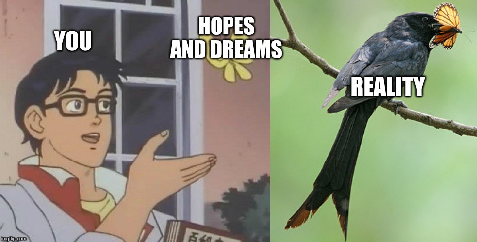 HOPES AND DREAMS; YOU; REALITY | image tagged in memes,is this a pigeon | made w/ Imgflip meme maker
