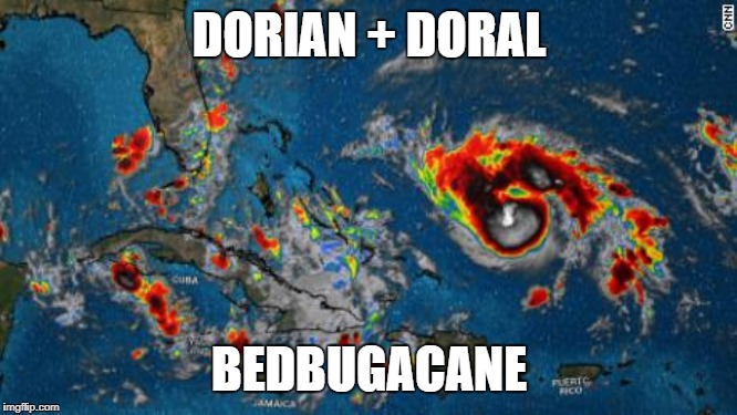 1st there was Sharknado, Then Zombie Tornado, then Nuclear Hurricane and Now: | DORIAN + DORAL; BEDBUGACANE | image tagged in dorian,bedbugs,doral,florida,hurricane,cat 4 is coming | made w/ Imgflip meme maker