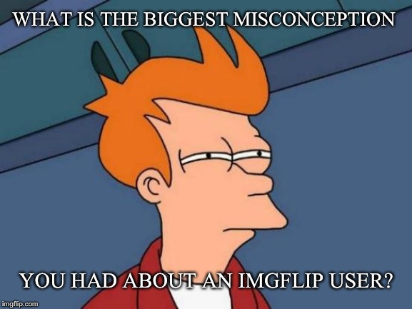 Futurama Fry | WHAT IS THE BIGGEST MISCONCEPTION; YOU HAD ABOUT AN IMGFLIP USER? | image tagged in memes,futurama fry | made w/ Imgflip meme maker