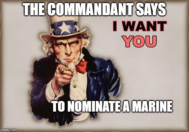 uncle sam wants you | THE COMMANDANT SAYS; TO NOMINATE A MARINE | image tagged in uncle sam wants you | made w/ Imgflip meme maker