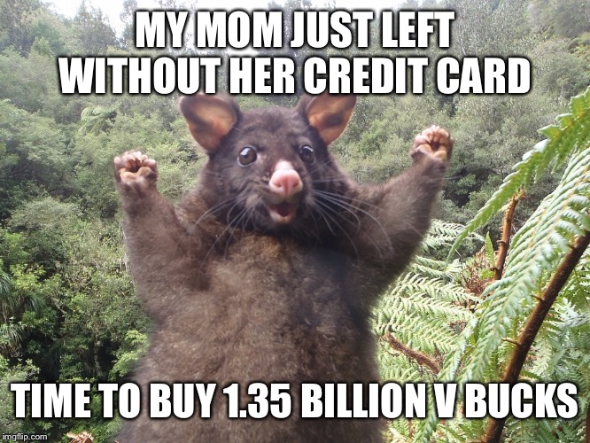 Woohoo | MY MOM JUST LEFT WITHOUT HER CREDIT CARD; TIME TO BUY 1.35 BILLION V BUCKS | image tagged in woohoo | made w/ Imgflip meme maker