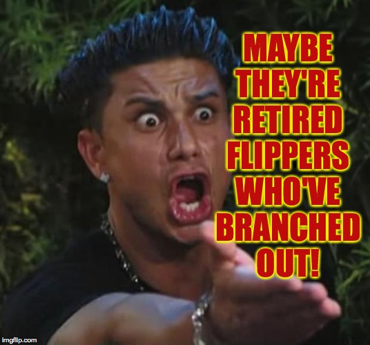 DJ Pauly D Meme | MAYBE THEY'RE RETIRED FLIPPERS WHO'VE BRANCHED OUT! | image tagged in memes,dj pauly d | made w/ Imgflip meme maker