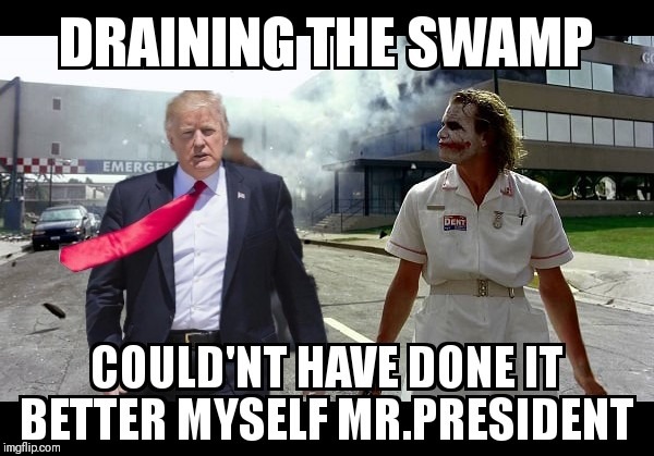 2020 NEXT | image tagged in trump,drain the swamp | made w/ Imgflip meme maker