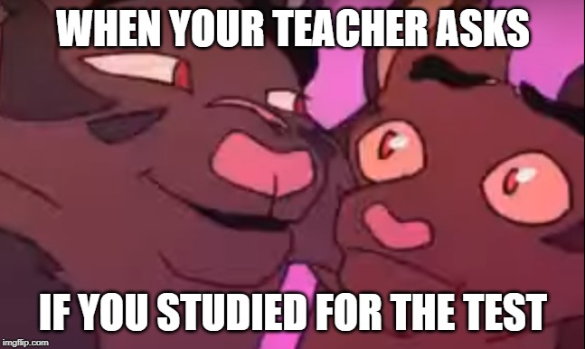 When your... | WHEN YOUR TEACHER ASKS; IF YOU STUDIED FOR THE TEST | image tagged in when your | made w/ Imgflip meme maker