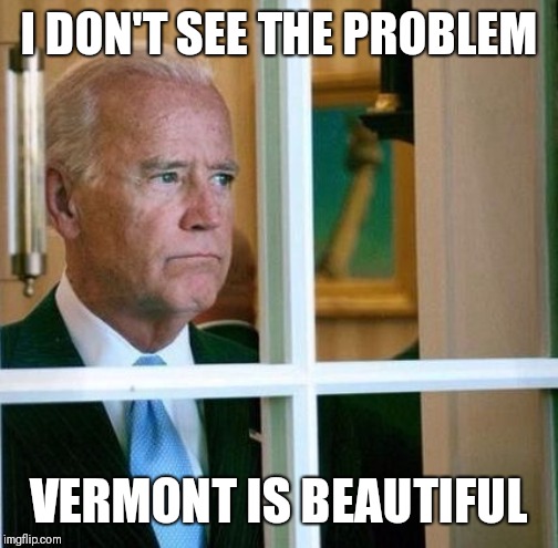 Sad Joe Biden | I DON'T SEE THE PROBLEM; VERMONT IS BEAUTIFUL | image tagged in sad joe biden | made w/ Imgflip meme maker