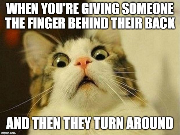 Scared Cat Meme | WHEN YOU'RE GIVING SOMEONE THE FINGER BEHIND THEIR BACK; AND THEN THEY TURN AROUND | image tagged in memes,scared cat | made w/ Imgflip meme maker