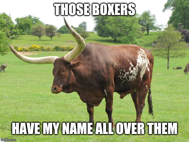 oxymoron | THOSE BOXERS HAVE MY NAME ALL OVER THEM | image tagged in oxymoron | made w/ Imgflip meme maker