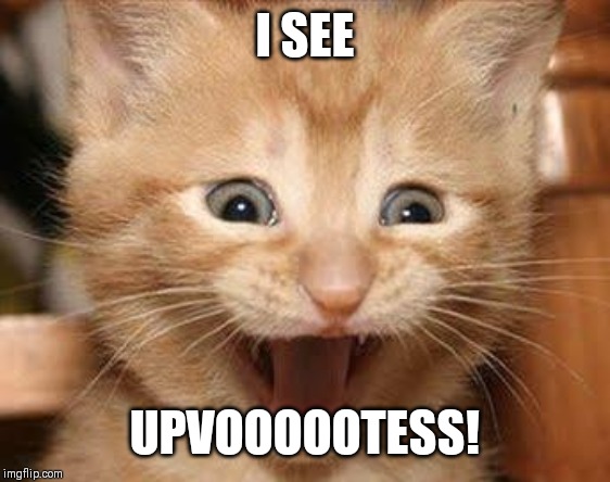 Excited Cat | I SEE; UPVOOOOOTESS! | image tagged in memes,excited cat | made w/ Imgflip meme maker