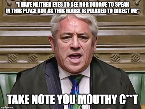 John Bercow | "I HAVE NEITHER EYES TO SEE NOR TONGUE TO SPEAK IN THIS PLACE BUT AS THIS HOUSE IS PLEASED TO DIRECT ME"; TAKE NOTE YOU MOUTHY C**T | image tagged in john bercow | made w/ Imgflip meme maker