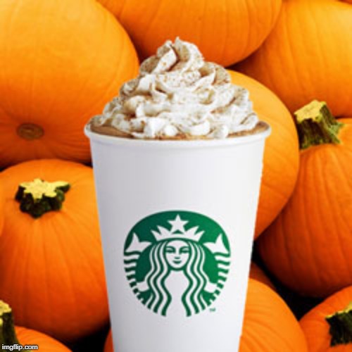 Pumpkin spice latte | image tagged in pumpkin spice latte | made w/ Imgflip meme maker
