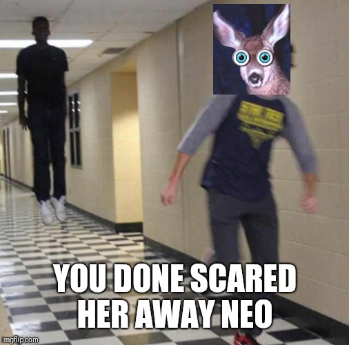 floating boy chasing running boy | YOU DONE SCARED HER AWAY NEO | image tagged in floating boy chasing running boy | made w/ Imgflip meme maker