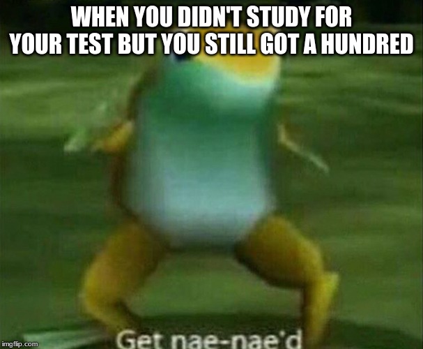 Get nae-nae'd | WHEN YOU DIDN'T STUDY FOR YOUR TEST BUT YOU STILL GOT A HUNDRED | image tagged in get nae-nae'd | made w/ Imgflip meme maker