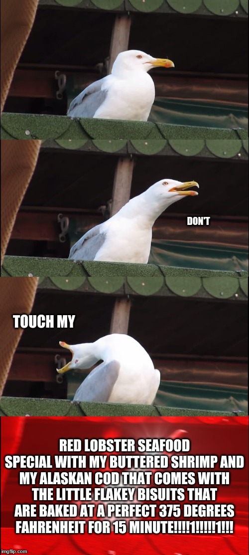 Inhaling Seagull Meme | DON'T; TOUCH MY; RED LOBSTER SEAFOOD SPECIAL WITH MY BUTTERED SHRIMP AND MY ALASKAN COD THAT COMES WITH THE LITTLE FLAKEY BISUITS THAT ARE BAKED AT A PERFECT 375 DEGREES FAHRENHEIT FOR 15 MINUTE!!!!1!!!!!1!!! | image tagged in memes,inhaling seagull | made w/ Imgflip meme maker
