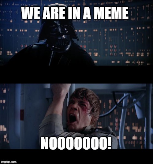 Star Wars No | WE ARE IN A MEME; NOOOOOOO! | image tagged in memes,star wars no | made w/ Imgflip meme maker