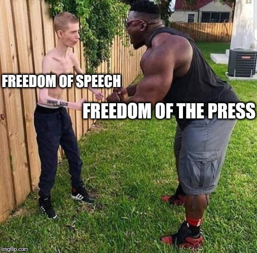 Muscular guy, smol guy | FREEDOM OF SPEECH; FREEDOM OF THE PRESS | image tagged in muscular guy smol guy | made w/ Imgflip meme maker
