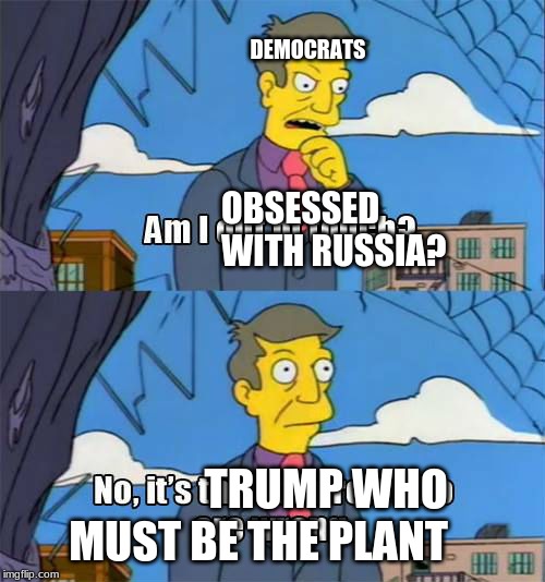 Simpsons Principal Skinner | DEMOCRATS; OBSESSED WITH RUSSIA? TRUMP WHO MUST BE THE PLANT | image tagged in simpsons principal skinner | made w/ Imgflip meme maker