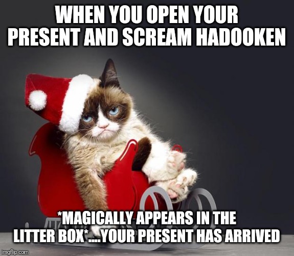 Grumpy Cat Christmas HD | WHEN YOU OPEN YOUR PRESENT AND SCREAM HADOOKEN; *MAGICALLY APPEARS IN THE LITTER BOX*....YOUR PRESENT HAS ARRIVED | image tagged in grumpy cat christmas hd | made w/ Imgflip meme maker