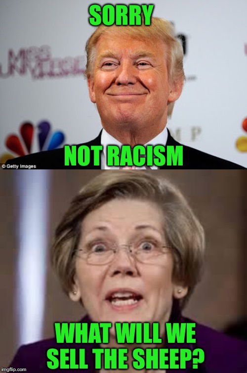 SORRY WHAT WILL WE SELL THE SHEEP? NOT RACISM | image tagged in full retard senator elizabeth warren,donald trump approves | made w/ Imgflip meme maker