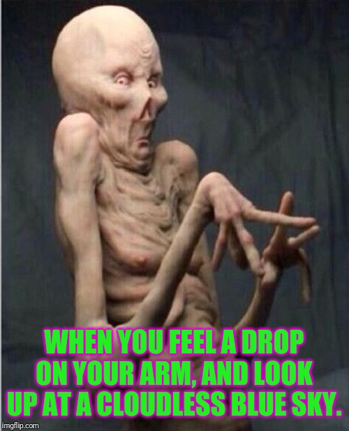 Grossed Out Alien | WHEN YOU FEEL A DROP ON YOUR ARM, AND LOOK UP AT A CLOUDLESS BLUE SKY. | image tagged in grossed out alien | made w/ Imgflip meme maker