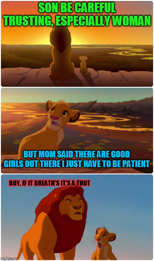 Lion King Meme | SON BE CAREFUL TRUSTING, ESPECIALLY WOMAN; BUT MOM SAID THERE ARE GOOD GIRLS OUT THERE I JUST HAVE TO BE PATIENT; BOY, IF IT BREATH'S IT'S A THOT | image tagged in lion king meme | made w/ Imgflip meme maker