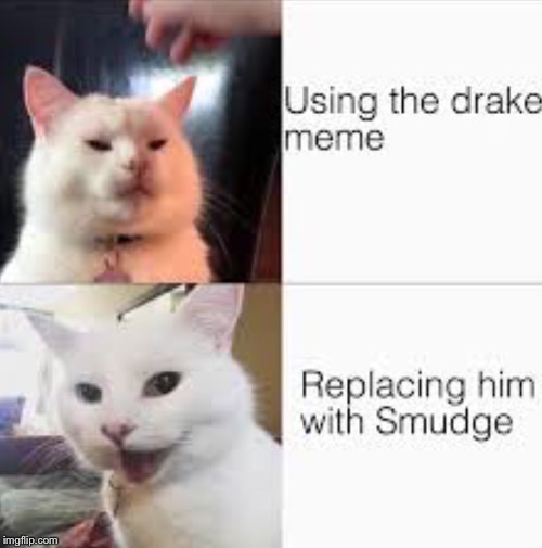 Smudge The Cat Meme | image tagged in memes,funny memes,dank memes,funny | made w/ Imgflip meme maker