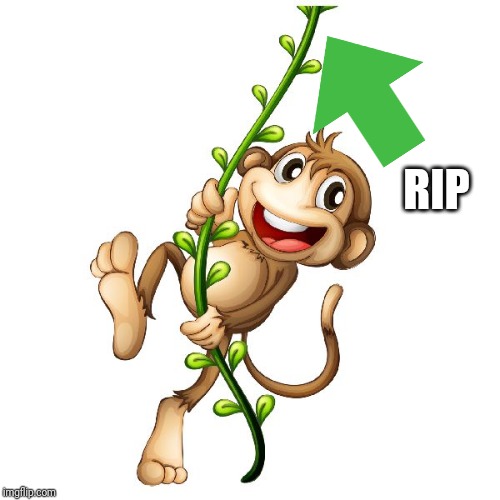 monkey vine | RIP | image tagged in monkey vine | made w/ Imgflip meme maker