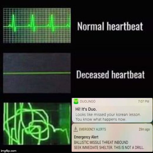 Duolingo has problems | image tagged in heartbeat rate,duolingo | made w/ Imgflip meme maker