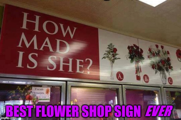 Learn Your ABCs | EVER; BEST FLOWER SHOP SIGN | image tagged in she,mad,flowers | made w/ Imgflip meme maker