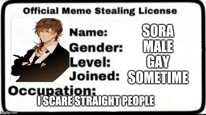 Meme Stealing License | SORA
MALE
GAY
SOMETIME; I SCARE STRAIGHT PEOPLE | image tagged in meme stealing license | made w/ Imgflip meme maker