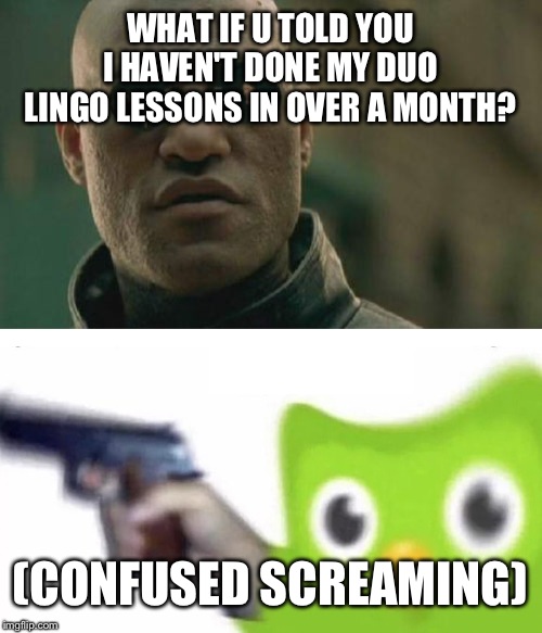 WHAT IF U TOLD YOU I HAVEN'T DONE MY DUO LINGO LESSONS IN OVER A MONTH? (CONFUSED SCREAMING) | image tagged in memes,matrix morpheus,evil duolingo owl | made w/ Imgflip meme maker