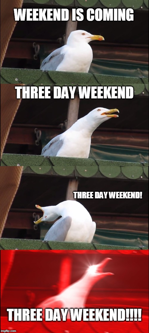 Inhaling Seagull | WEEKEND IS COMING; THREE DAY WEEKEND; THREE DAY WEEKEND! THREE DAY WEEKEND!!!! | image tagged in memes,inhaling seagull | made w/ Imgflip meme maker