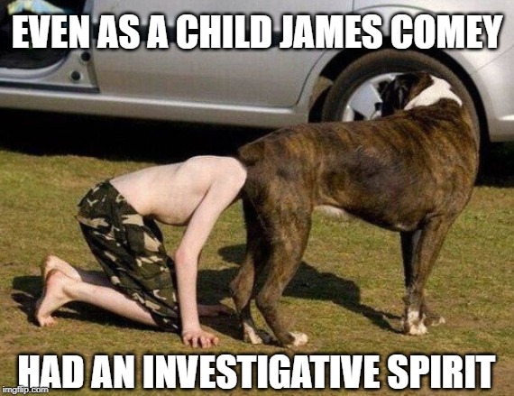 James Comey and his quest for the truth | EVEN AS A CHILD JAMES COMEY; HAD AN INVESTIGATIVE SPIRIT | image tagged in vince vance,james comey,fbi director james comey,fbi,head up ass,dogs | made w/ Imgflip meme maker