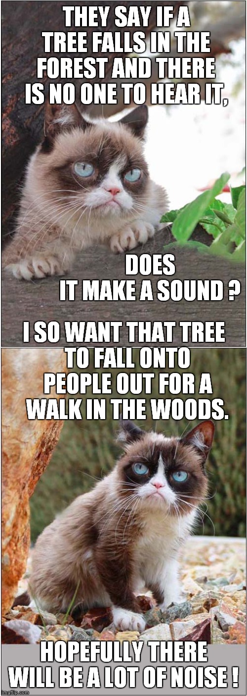 Grumpys Scientific Experiment | THEY SAY IF A TREE FALLS IN THE FOREST AND THERE IS NO ONE TO HEAR IT, DOES IT MAKE A SOUND ? I SO WANT THAT TREE; TO FALL ONTO PEOPLE OUT FOR A WALK IN THE WOODS. HOPEFULLY THERE WILL BE A LOT OF NOISE ! | image tagged in cats,grumpy cat | made w/ Imgflip meme maker