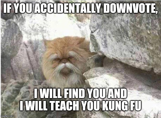 Kung fu cat | IF YOU ACCIDENTALLY DOWNVOTE, I WILL FIND YOU AND I WILL TEACH YOU KUNG FU | image tagged in kung fu cat | made w/ Imgflip meme maker