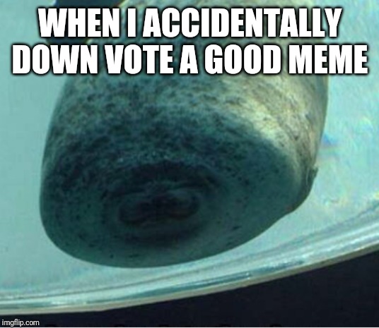 Accordion Manatee | WHEN I ACCIDENTALLY DOWN VOTE A GOOD MEME | image tagged in accordion manatee | made w/ Imgflip meme maker