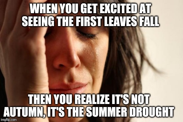 My heart says Autumn, but the thermometer says "muhahahaha!" | WHEN YOU GET EXCITED AT SEEING THE FIRST LEAVES FALL; THEN YOU REALIZE IT'S NOT AUTUMN, IT'S THE SUMMER DROUGHT | image tagged in memes,first world problems,summer,autumn,autumn leaves,drought | made w/ Imgflip meme maker