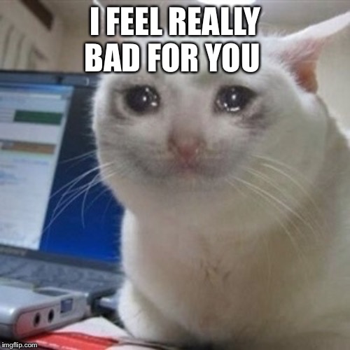 Crying cat | I FEEL REALLY BAD FOR YOU | image tagged in crying cat | made w/ Imgflip meme maker