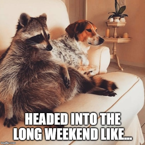 Cool Coon | HEADED INTO THE LONG WEEKEND LIKE... | image tagged in cool coon | made w/ Imgflip meme maker