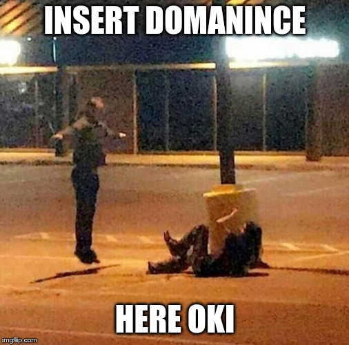 t-pose to assert dominace | INSERT DOMANINCE; HERE OKI | image tagged in t-pose to assert dominace | made w/ Imgflip meme maker