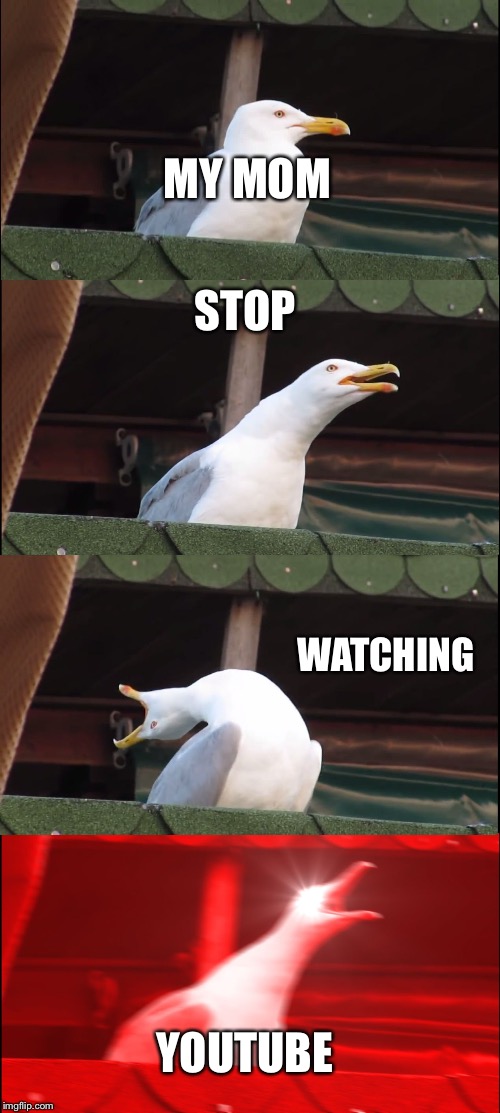 Inhaling Seagull Meme | MY MOM; STOP; WATCHING; YOUTUBE | image tagged in memes,inhaling seagull | made w/ Imgflip meme maker